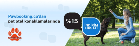 Pawbooking'den %15 indirim fırsatı!