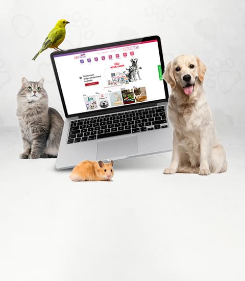 Petihtiyac.com'da 50 Paracık'la 1.500 TL ve üzeri alışverişlerinde 100 TL daha az öde
