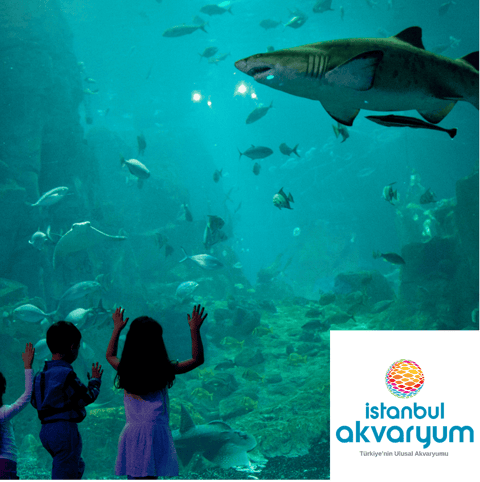 İstanbul Akvaryum'da %15 Nakit İade!