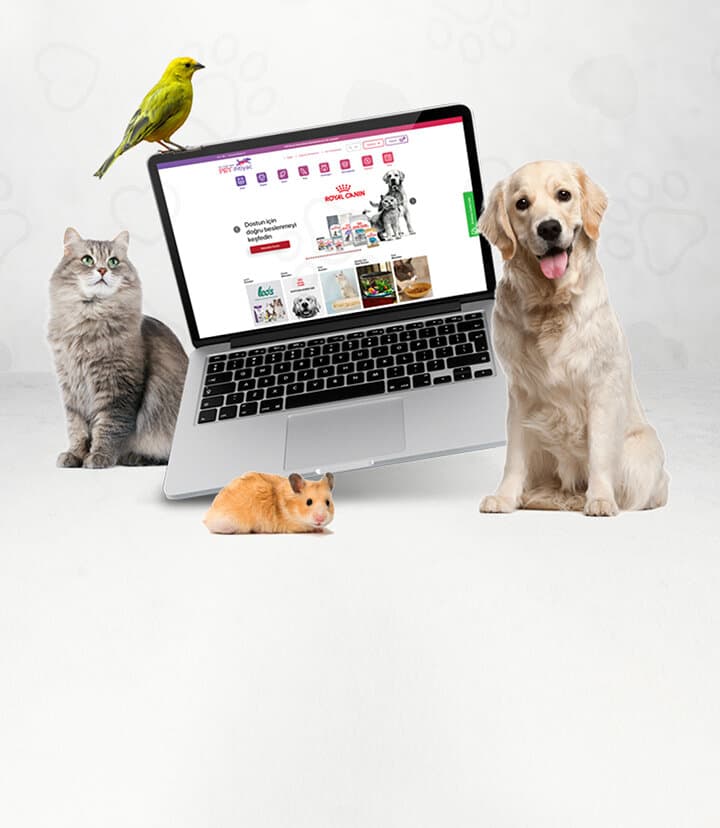 Petihtiyac.com'da 50 Paracık'la 1.500 TL ve üzeri alışverişlerinde 100 TL daha az öde